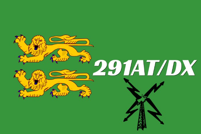 291AT/DX